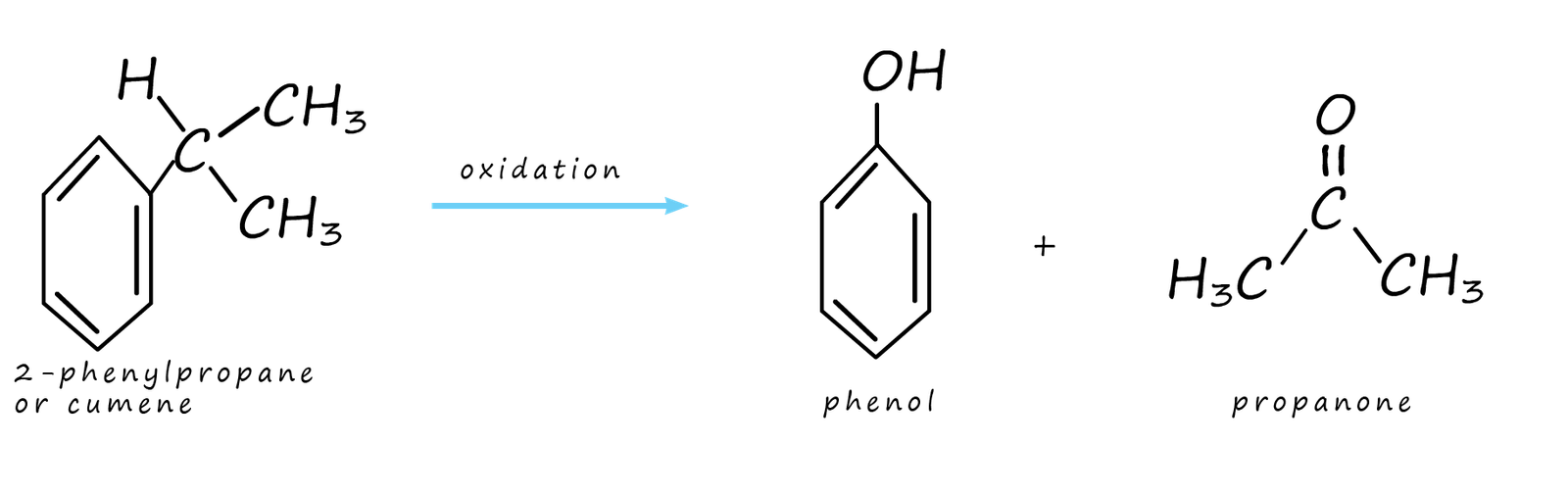 oxidation of cumene to form phenol and propanone